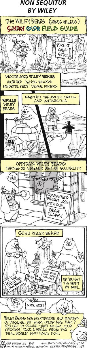 Non Sequitur on Sunday March 19, 2017 Comic Strip