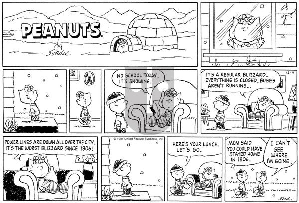 Peanuts on Sunday December 11, 1994 Comic Strip
