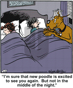 Marmaduke on Wednesday November 10, 2021 Comic Strip