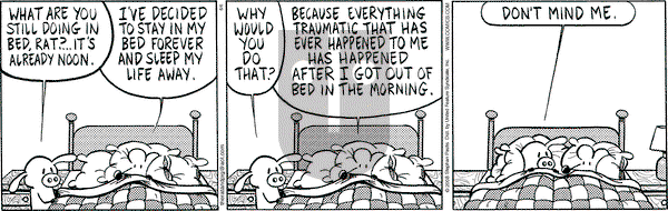 Pearls Before Swine on Friday June 6, 2008 Comic Strip