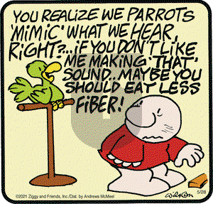 Ziggy on Friday May 28, 2021 Comic Strip