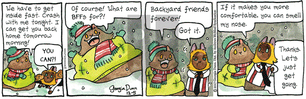 Breaking Cat News on Tuesday December 5, 2017 Comic Strip