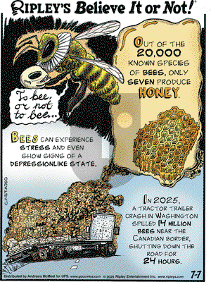 Ripley's Believe It or Not on 2025-07-07 Comic Strip