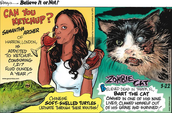 Ripley's Believe It or Not on Sunday March 22, 2015 Comic Strip