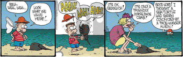 Monty on Tuesday July 15, 2025 Comic Strip