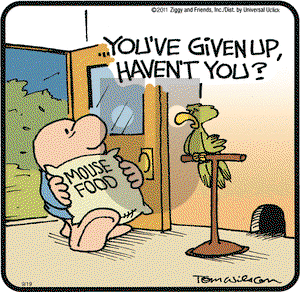 Ziggy on Monday September 19, 2011 Comic Strip
