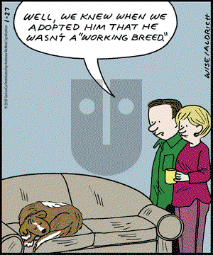 Real Life Adventures on Saturday January 27, 2018 Comic Strip