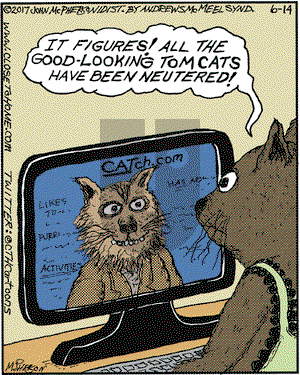 Close to Home on Wednesday June 14, 2017 Comic Strip