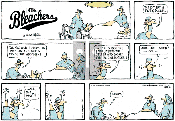 In the Bleachers on Sunday January 11, 1998 Comic Strip