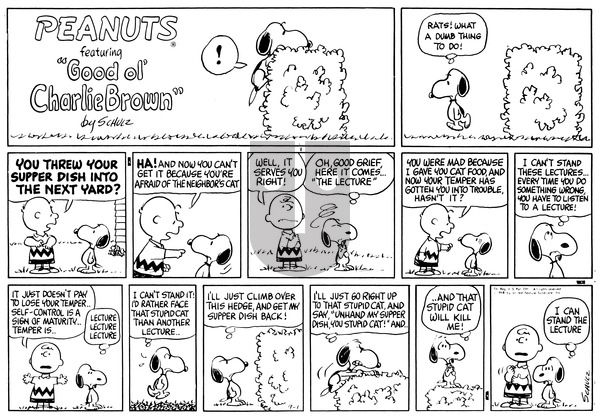 Peanuts on Sunday September 1, 1968 Comic Strip