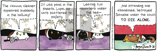 Breaking Cat News on Monday July 31, 2017 Comic Strip