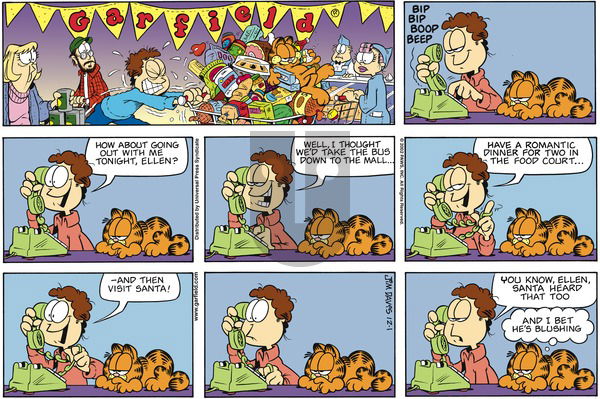 Garfield on Sunday December 1, 2002 Comic Strip
