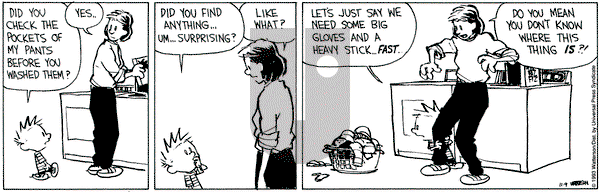 Calvin and Hobbes on Tuesday November 9, 1993 Comic Strip