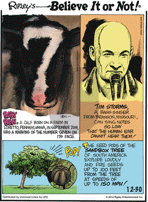 Ripley's Believe It or Not on Tuesday December 30, 2014 Comic Strip