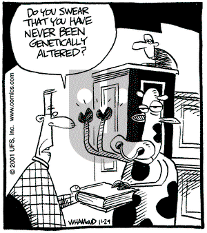 Reality Check on Wednesday May 22, 2002 Comic Strip