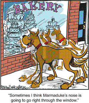 Marmaduke on Friday September 23, 2011 Comic Strip