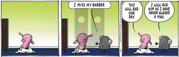 Pearls Before Swine on Friday June 5, 2020 Comic Strip