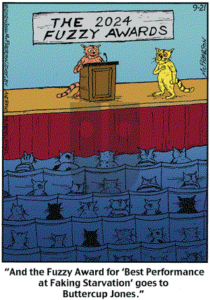 Close to Home on Saturday September 21, 2024 Comic Strip