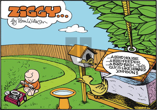Ziggy - Sunday July 13, 2014 Comic Strip