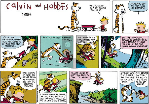 Calvin and Hobbes on Sunday June 10, 1990 Comic Strip
