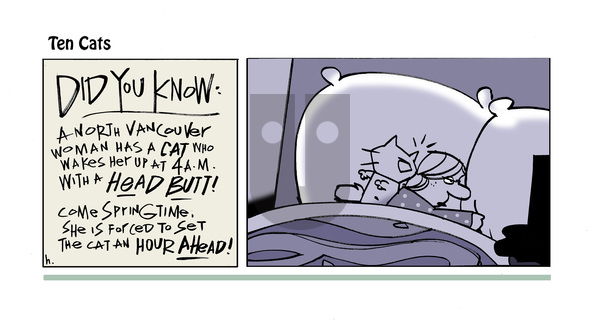 Ten Cats on Saturday February 15, 2025 Comic Strip
