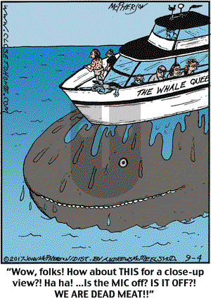 Close to Home - Monday September 4, 2017 Comic Strip