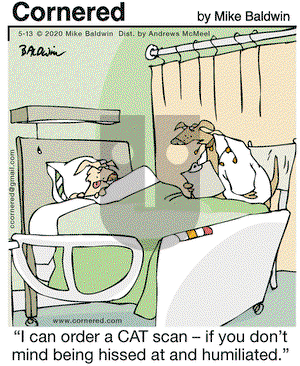 Cornered on Wednesday May 13, 2020 Comic Strip