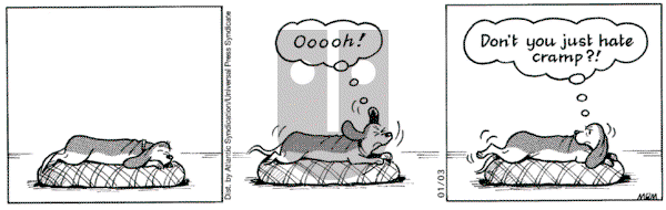 Fred Basset on Monday January 3, 2005 Comic Strip