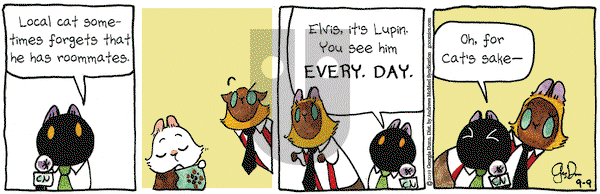 Breaking Cat News on Monday September 9, 2019 Comic Strip