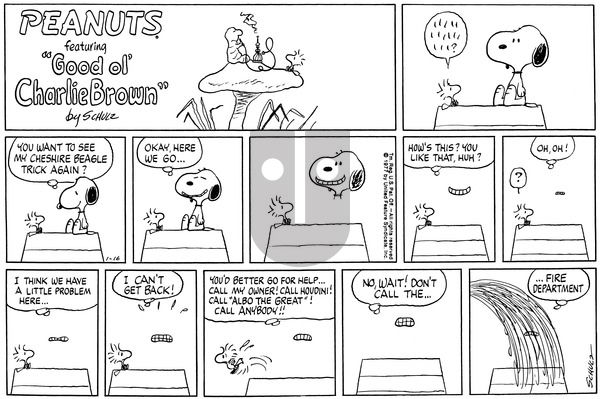Peanuts on Sunday January 16, 1977 Comic Strip