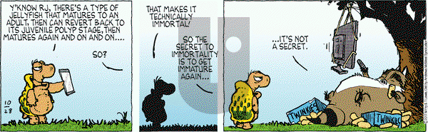 Over the Hedge on Saturday October 28, 2017 Comic Strip