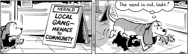 Fred Basset on Wednesday July 8, 2009 Comic Strip