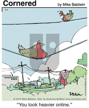Cornered on Friday August 2, 2019 Comic Strip