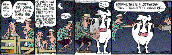 Monty on Monday May 24, 2010 Comic Strip