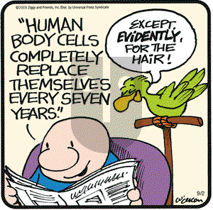 Ziggy on Wednesday September 2, 2009 Comic Strip