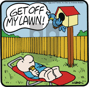 Ziggy on Saturday August 14, 2021 Comic Strip