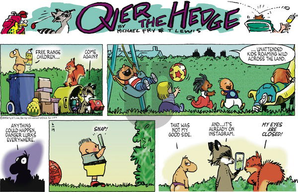 Over the Hedge on Sunday June 14, 2015 Comic Strip