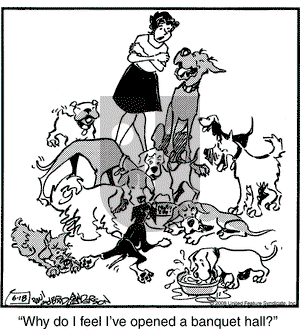 Marmaduke on Wednesday June 18, 2008 Comic Strip