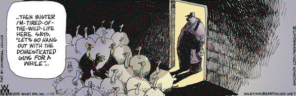 Non Sequitur - Thursday November 26, 2015 Comic Strip