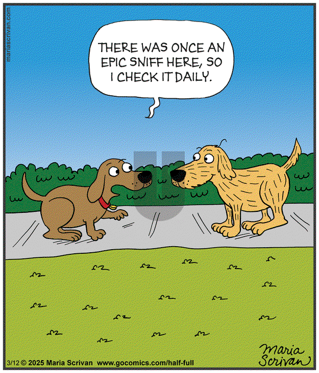 Half Full on Wednesday March 12, 2025 Comic Strip