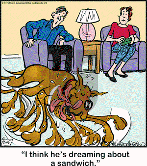 Marmaduke on Monday July 15, 2019 Comic Strip