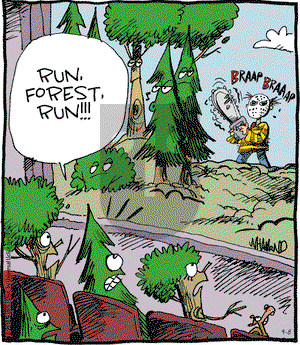 Reality Check on Tuesday September 8, 2015 Comic Strip