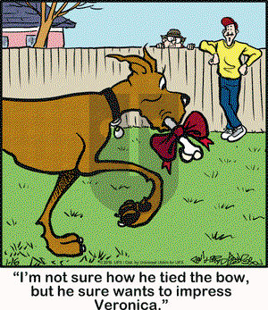 Marmaduke on Saturday January 16, 2016 Comic Strip
