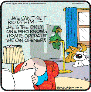 Ziggy - Tuesday June 28, 2005 Comic Strip