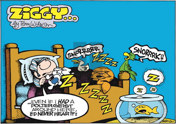 Ziggy on Sunday September 23, 2012 Comic Strip