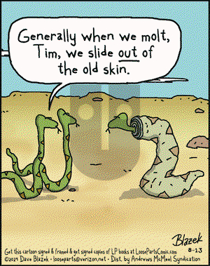 Loose Parts - Tuesday August 13, 2024 Comic Strip