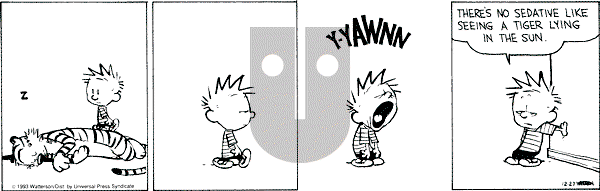 Calvin and Hobbes - Monday December 27, 1993 Comic Strip