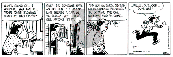 Calvin and Hobbes on Monday June 5, 1989 Comic Strip