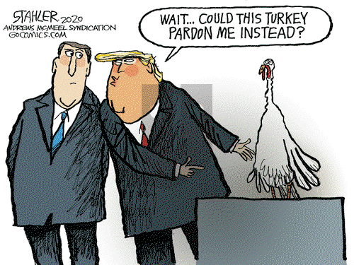 Jeff Stahler on Thursday November 19, 2020 Comic Strip