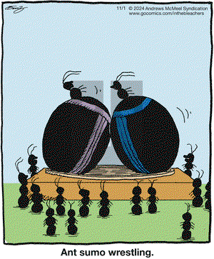 In the Bleachers - Friday November 1, 2024 Comic Strip